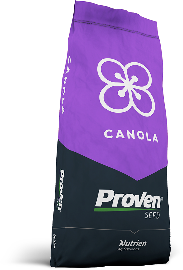 Purple Canola seed bag