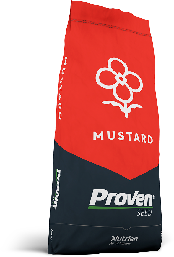 Red Mustard seed bag